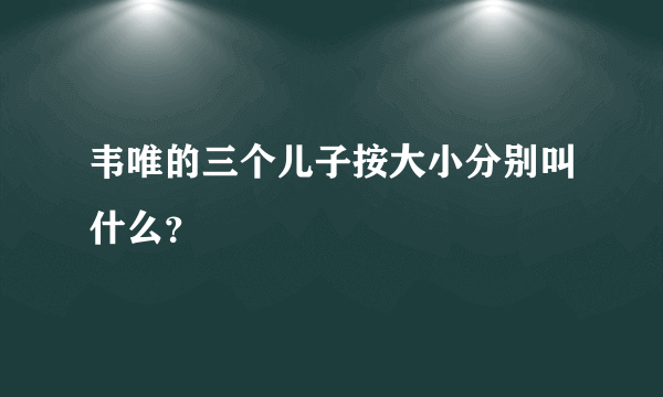 韦唯的三个儿子按大小分别叫什么？