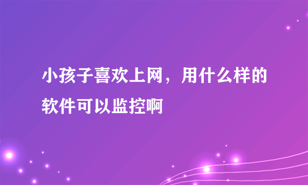 小孩子喜欢上网，用什么样的软件可以监控啊