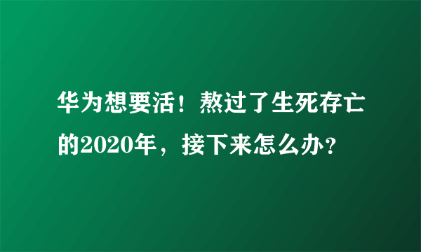 华为想要活！熬过了生死存亡的2020年，接下来怎么办？