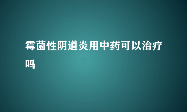 霉菌性阴道炎用中药可以治疗吗