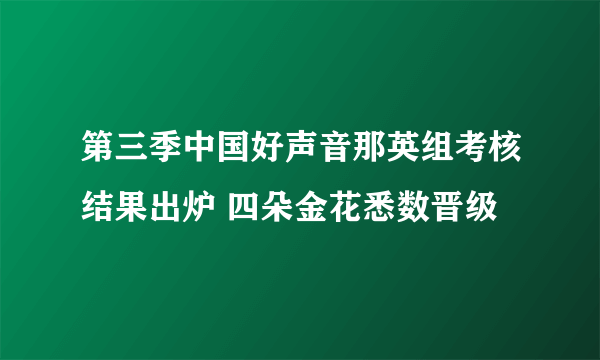 第三季中国好声音那英组考核结果出炉 四朵金花悉数晋级