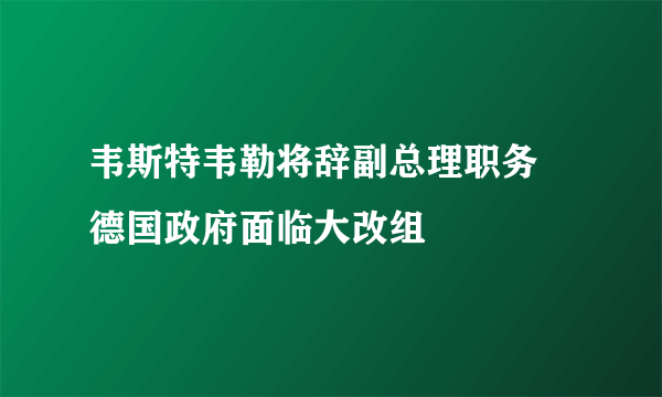 韦斯特韦勒将辞副总理职务 德国政府面临大改组