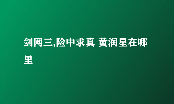 剑网三,险中求真 黄润星在哪里