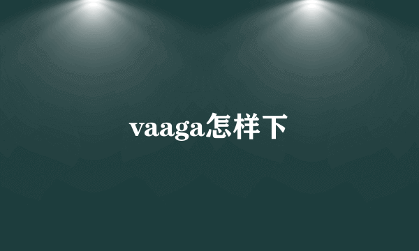 vaaga怎样下