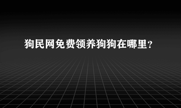 狗民网免费领养狗狗在哪里？