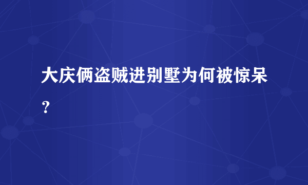 大庆俩盗贼进别墅为何被惊呆？