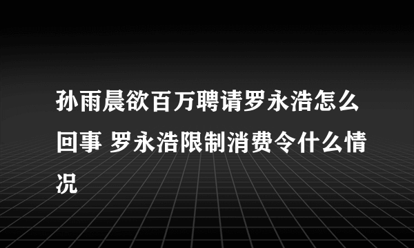 孙雨晨欲百万聘请罗永浩怎么回事 罗永浩限制消费令什么情况