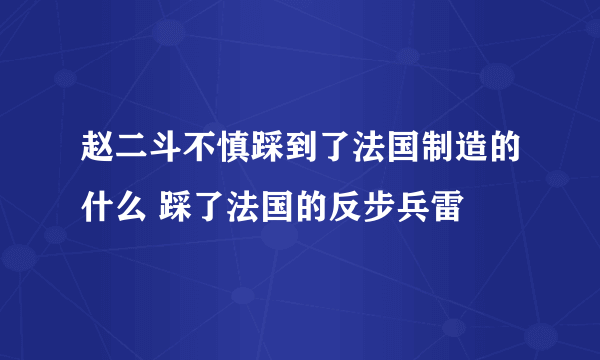 赵二斗不慎踩到了法国制造的什么 踩了法国的反步兵雷