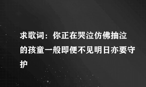 求歌词：你正在哭泣仿佛抽泣的孩童一般即便不见明日亦要守护