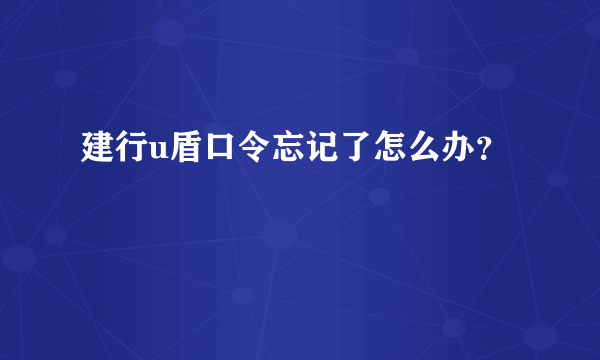 建行u盾口令忘记了怎么办？