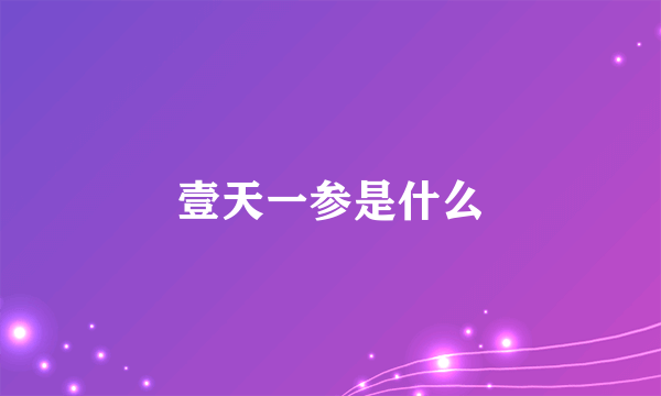 壹天一参是什么