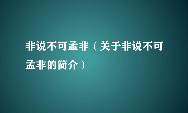 非说不可孟非（关于非说不可孟非的简介）