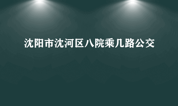 沈阳市沈河区八院乘几路公交