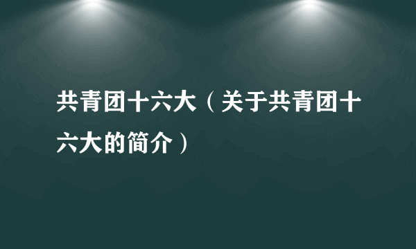 共青团十六大（关于共青团十六大的简介）