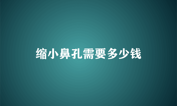 缩小鼻孔需要多少钱