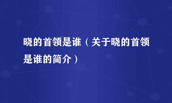 晓的首领是谁（关于晓的首领是谁的简介）