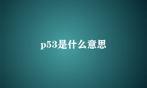 p53是什么意思