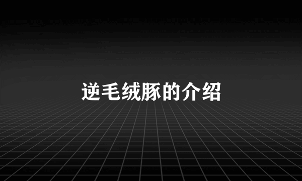 逆毛绒豚的介绍