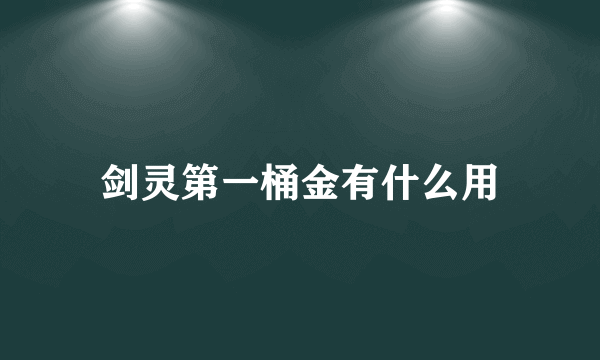 剑灵第一桶金有什么用