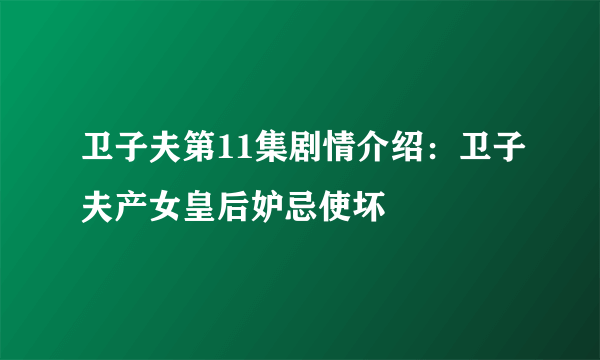 卫子夫第11集剧情介绍：卫子夫产女皇后妒忌使坏