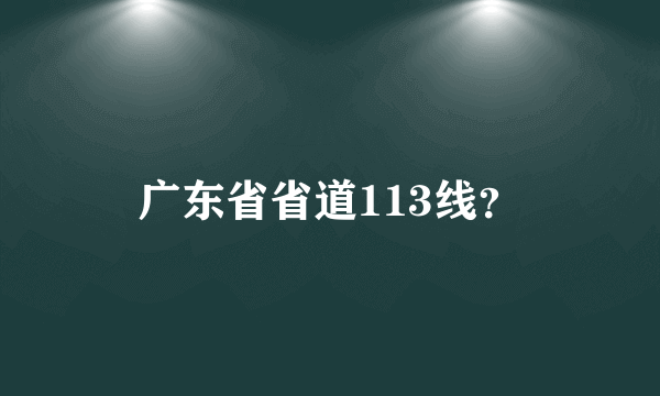 广东省省道113线？