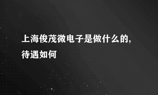 上海俊茂微电子是做什么的,待遇如何