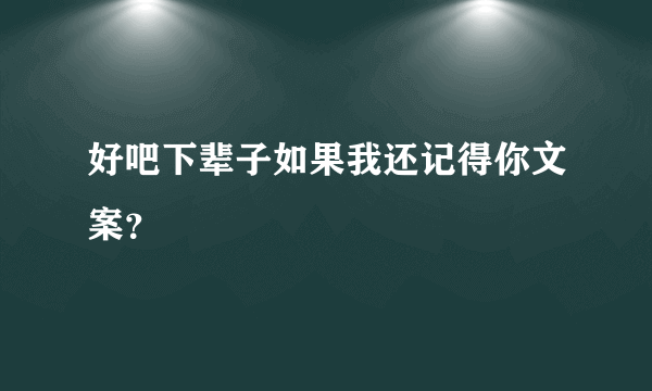 好吧下辈子如果我还记得你文案？