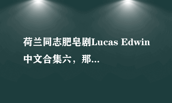 荷兰同志肥皂剧Lucas Edwin中文合集六，那个大侠有就发给我吧，不胜感激~