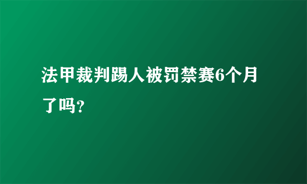 法甲裁判踢人被罚禁赛6个月了吗？