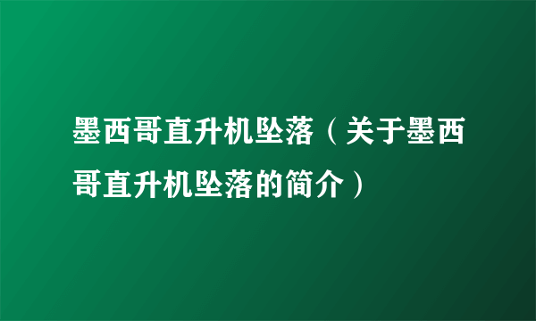 墨西哥直升机坠落（关于墨西哥直升机坠落的简介）