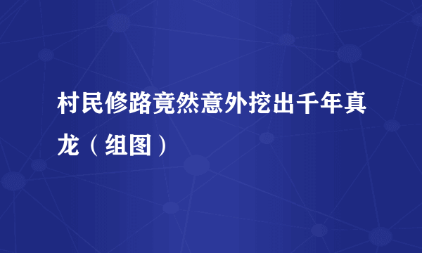 村民修路竟然意外挖出千年真龙（组图）