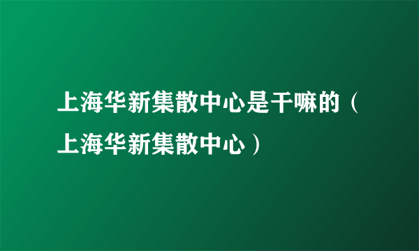 上海华新集散中心是干嘛的（上海华新集散中心）