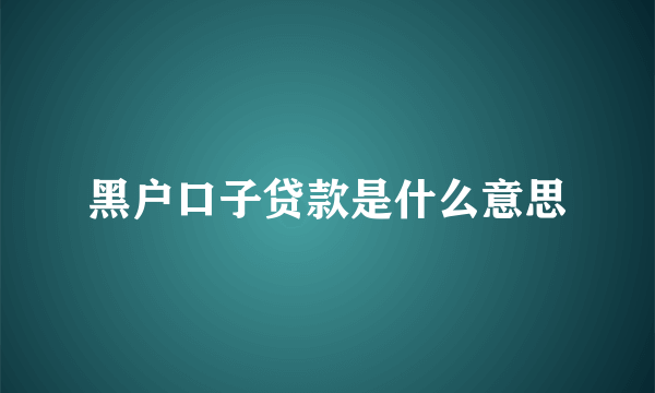 黑户口子贷款是什么意思