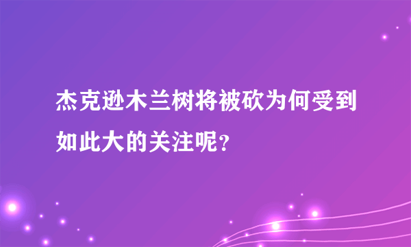 杰克逊木兰树将被砍为何受到如此大的关注呢？