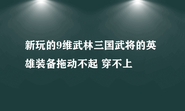 新玩的9维武林三国武将的英雄装备拖动不起 穿不上