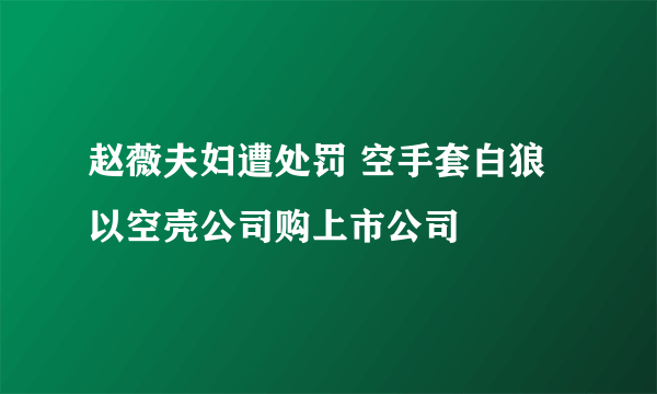 赵薇夫妇遭处罚 空手套白狼以空壳公司购上市公司