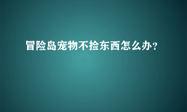 冒险岛宠物不捡东西怎么办？