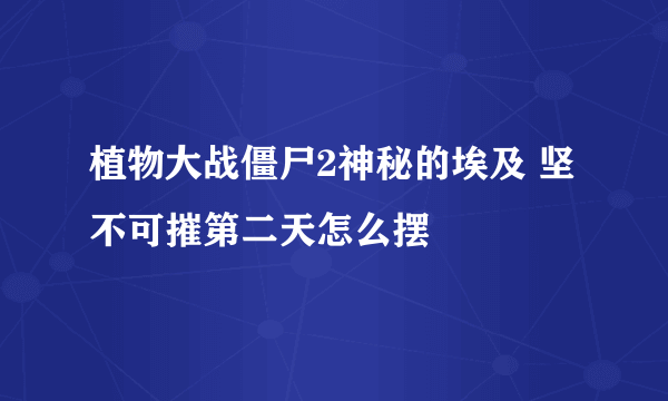 植物大战僵尸2神秘的埃及 坚不可摧第二天怎么摆