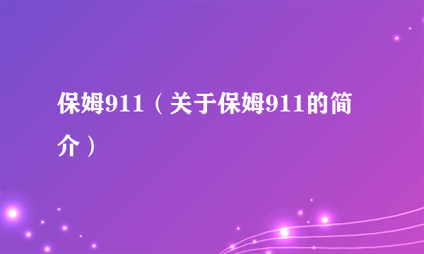 保姆911（关于保姆911的简介）