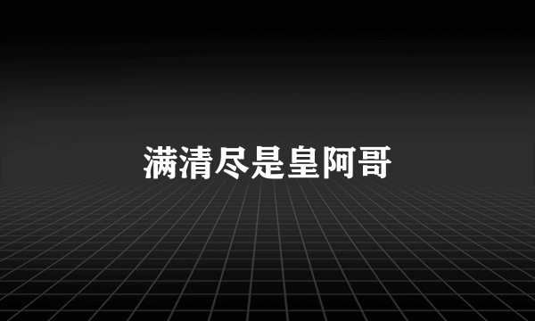 满清尽是皇阿哥