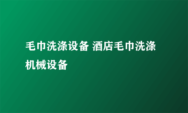 毛巾洗涤设备 酒店毛巾洗涤机械设备