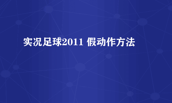 实况足球2011 假动作方法