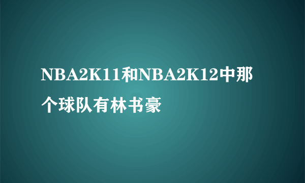 NBA2K11和NBA2K12中那个球队有林书豪