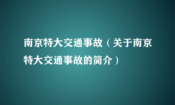 南京特大交通事故（关于南京特大交通事故的简介）