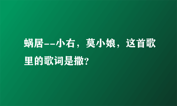 蜗居--小右，莫小娘，这首歌里的歌词是撒？