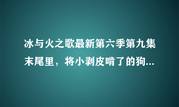 冰与火之歌最新第六季第九集末尾里，将小剥皮啃了的狗是啥品种？