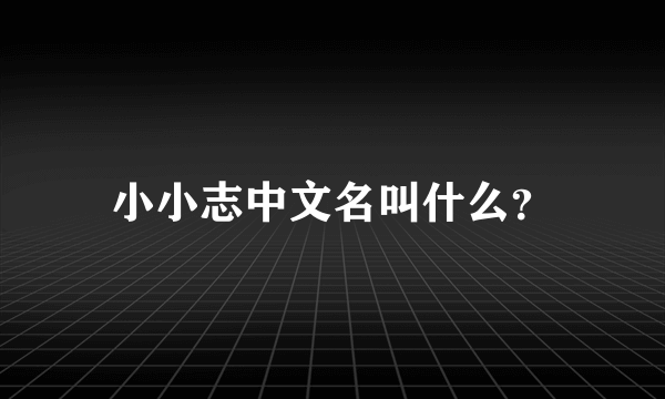 小小志中文名叫什么？