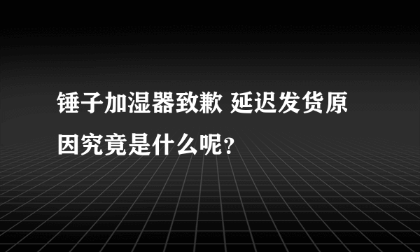 锤子加湿器致歉 延迟发货原因究竟是什么呢？