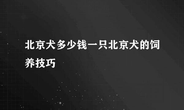 北京犬多少钱一只北京犬的饲养技巧