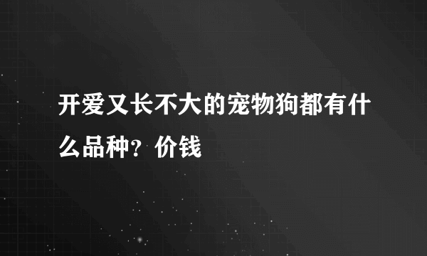 开爱又长不大的宠物狗都有什么品种？价钱